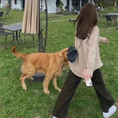 侵占